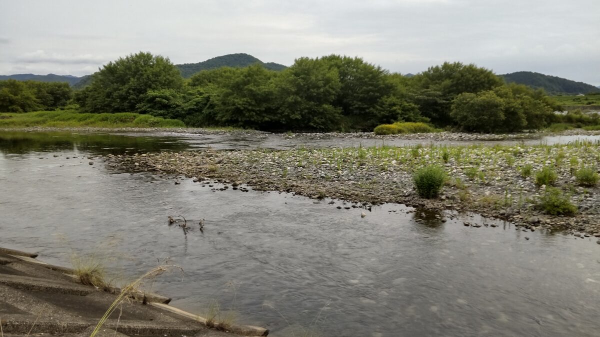 釣果情報　7月　アユイング