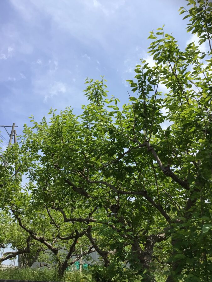 5月スタート‼️