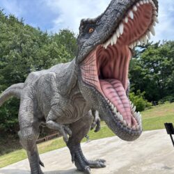 恐竜を見に行きました！！　カッコイイ🦕