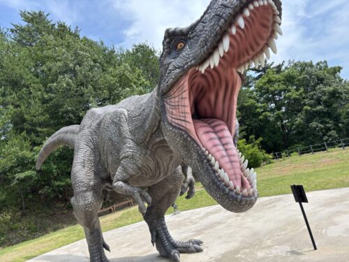 恐竜を見に行きました！！　カッコイイ🦕