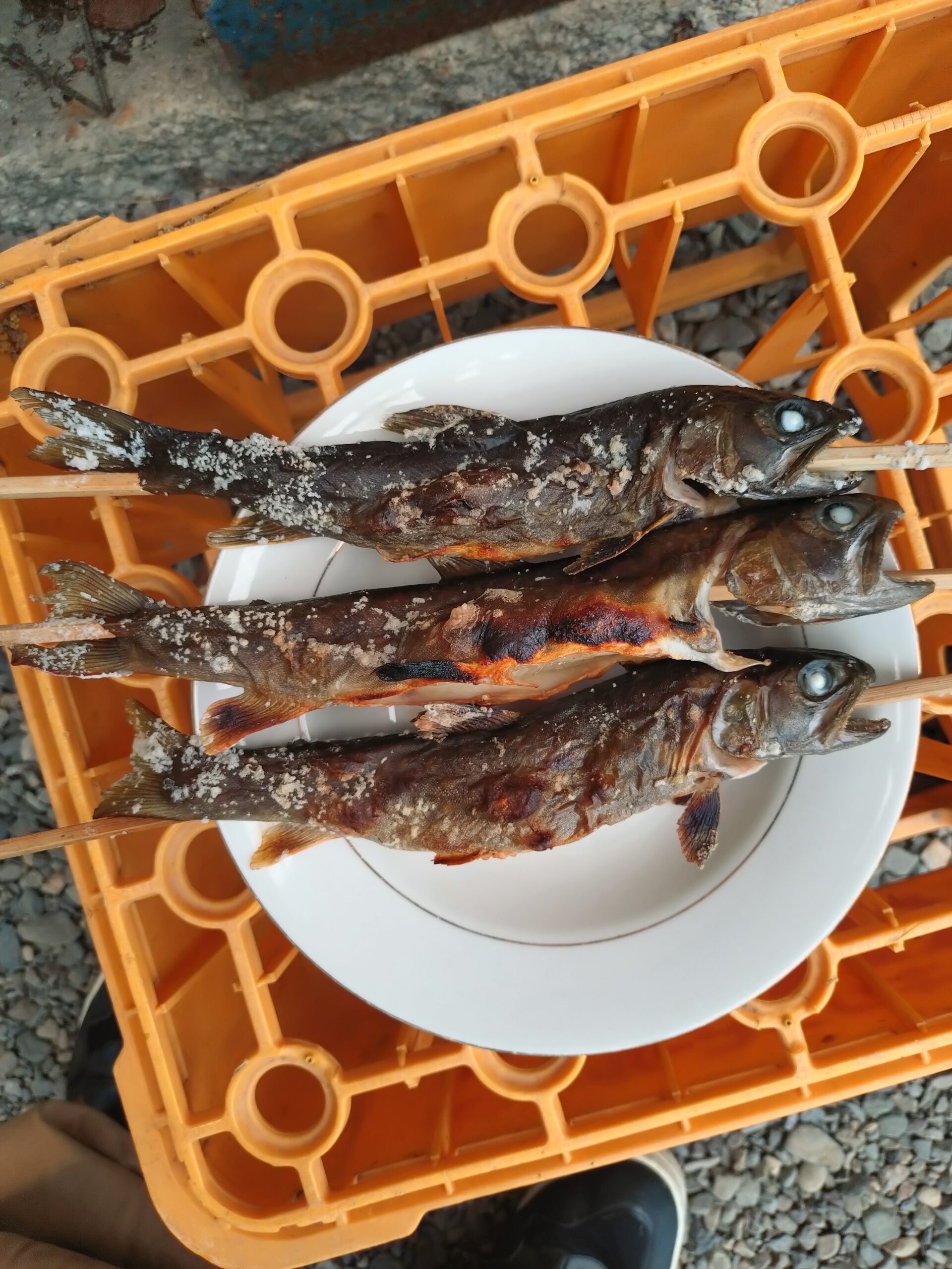 ７月の暑いさなか炭火で塩焼き