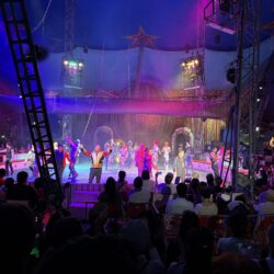 木下大サーカスを見に行きました！🎪🤡　