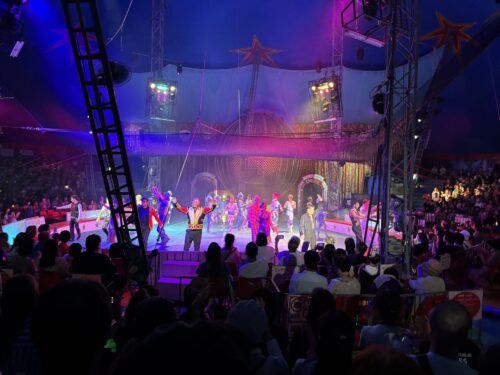 木下大サーカスを見に行きました！🎪🤡　