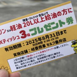 ～たまには岐阜SS方面へ～ニンニクチャーハン求めて🍚