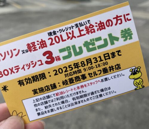 ～たまには岐阜SS方面へ～ニンニクチャーハン求めて🍚