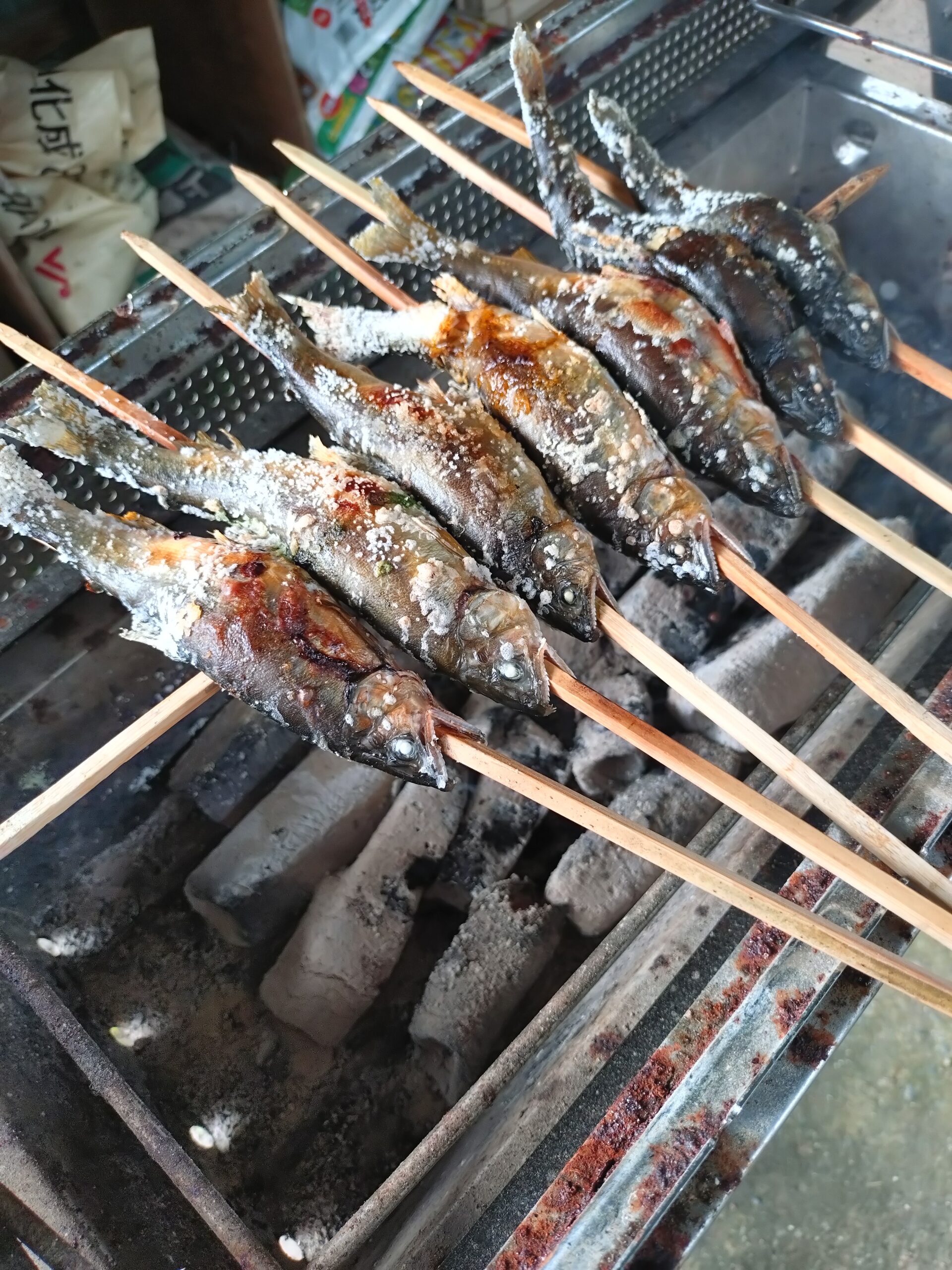 お盆休み中の１コマ。