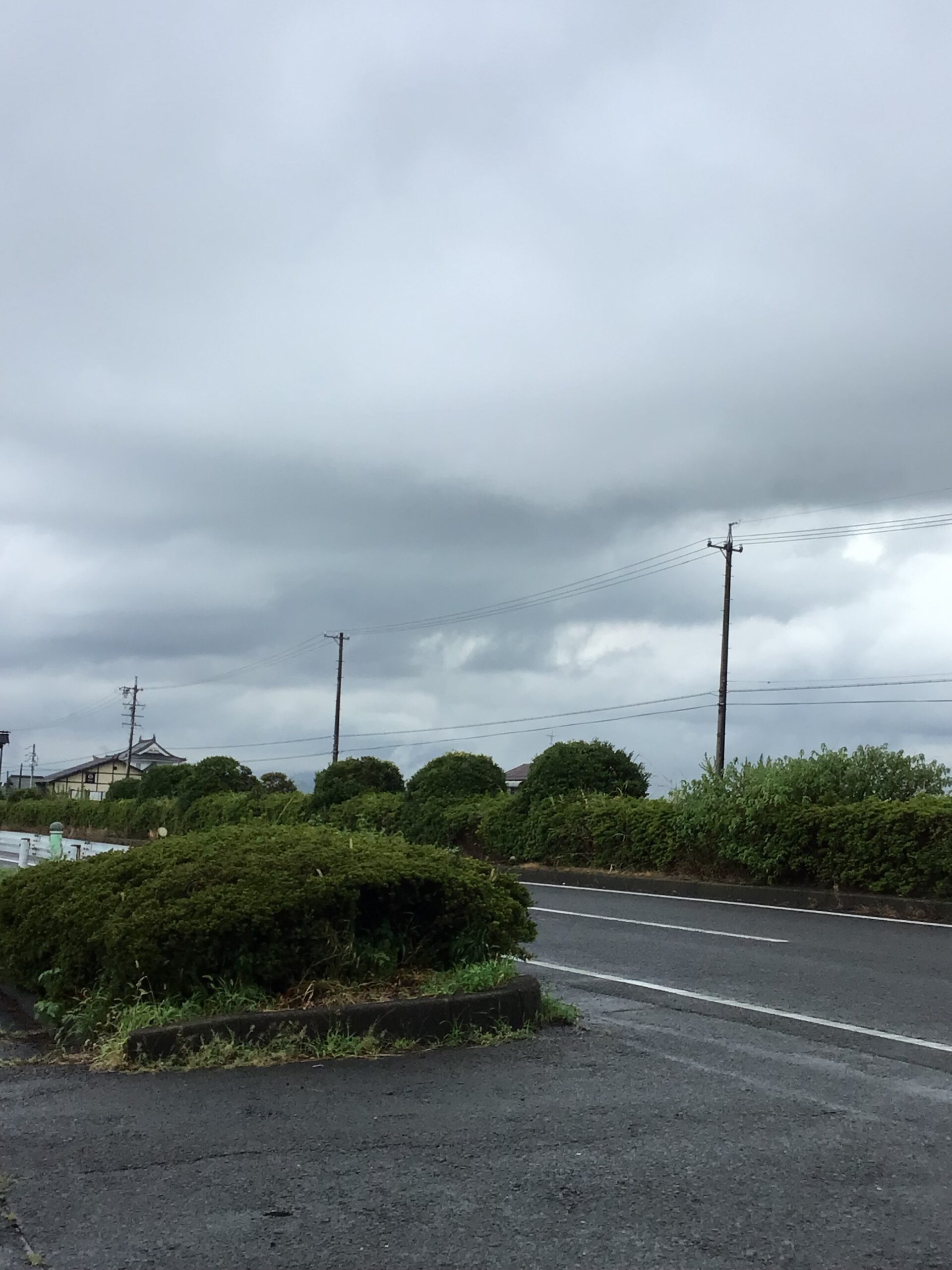 不安定な1日☔️🌪️