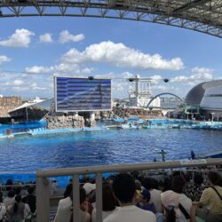 久しぶりの家族でお出かけ～お刺身食べたくなりました🐟🐙🐡～