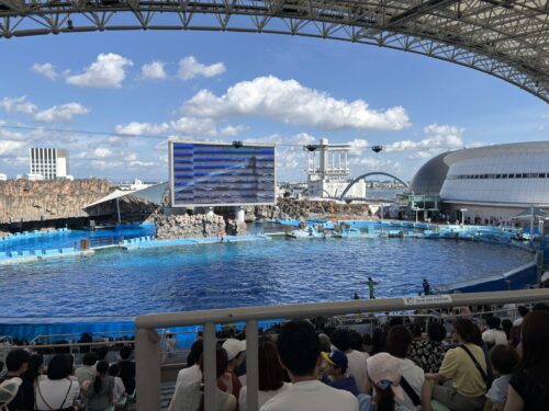 久しぶりの家族でお出かけ～お刺身食べたくなりました🐟🐙🐡～