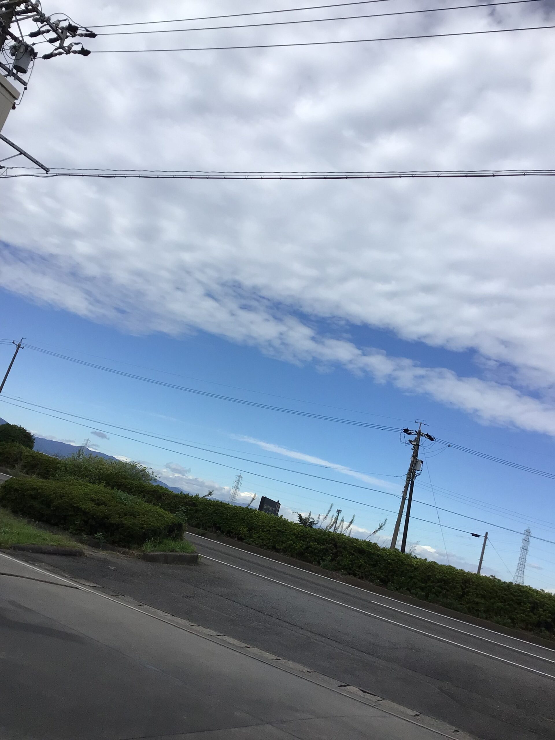 気付けば後10日ほどで‼️