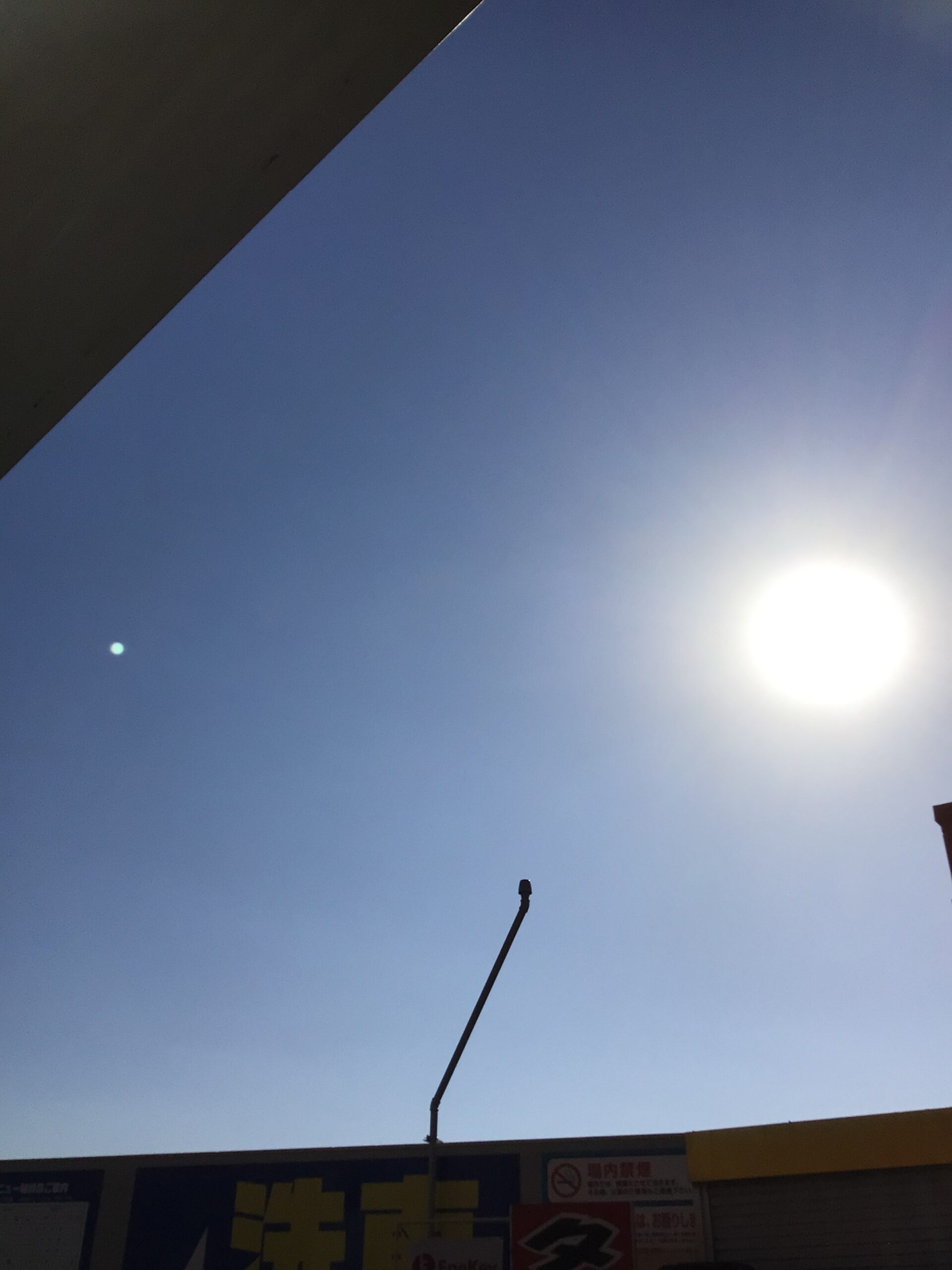 ポカポカ陽気☀️