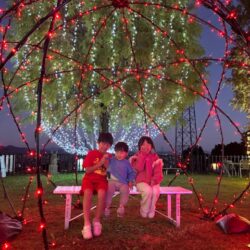 寒い、寒い、冬がやってきました～⛄