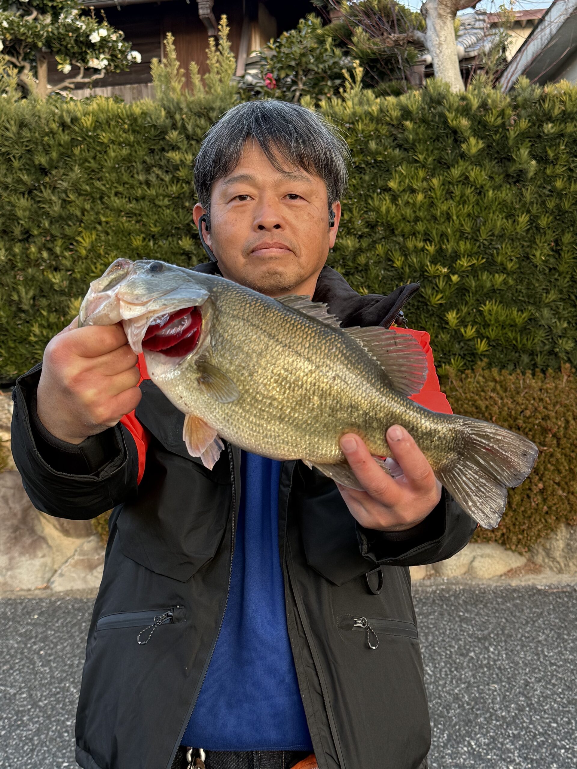 明けましておめでとうございます