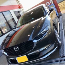 お得にコーティングを‼️