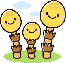 WBCもうすぐですね⚾️