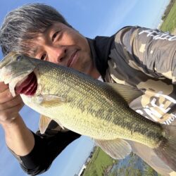 やっと釣れました