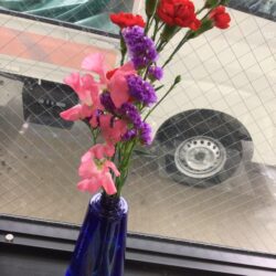 明日は晴れ予報☀️