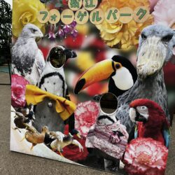 島根県に行ってきました