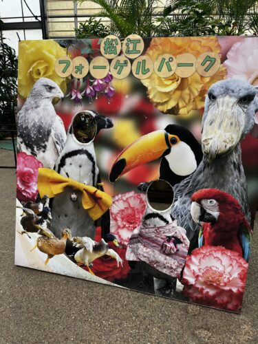 島根県に行ってきました