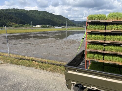 初めての田植え😄