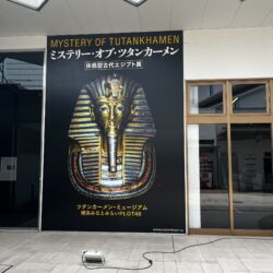 お出かけしてきました