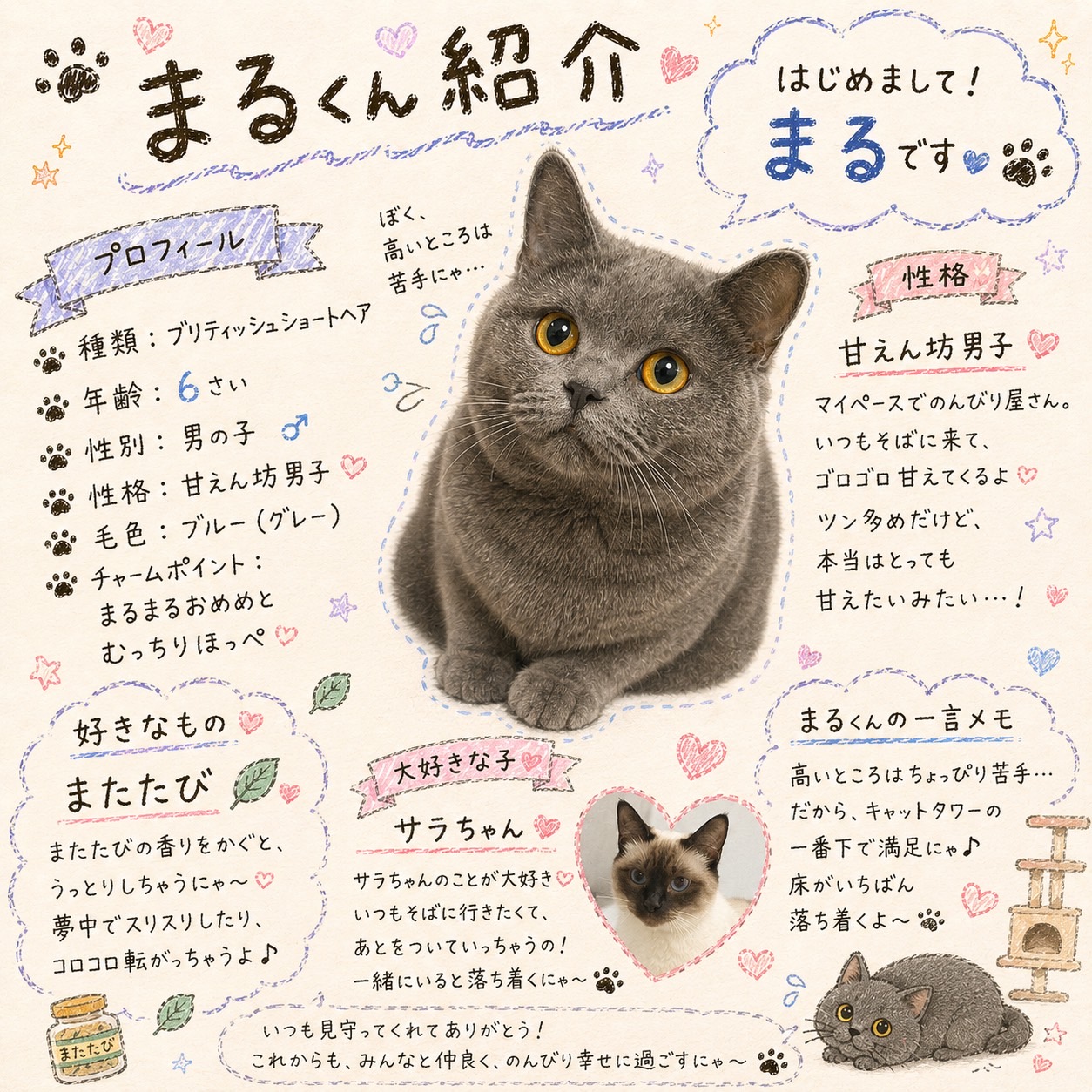 我が家の猫