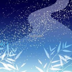 明日は七夕💫