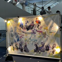 オーケストラの演奏を聴いてきました。