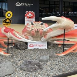 休みだ・晴だ・ツーリングだ